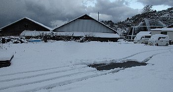 f0003283_18254190.jpg