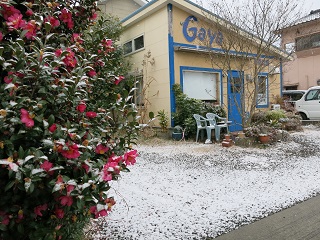 e0130185_852133.jpg