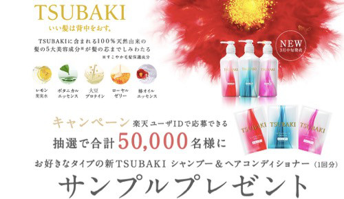 いろいろあるよ_e0233190_12524210.jpg