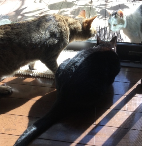 もう一枚_e0358096_21103222.jpeg