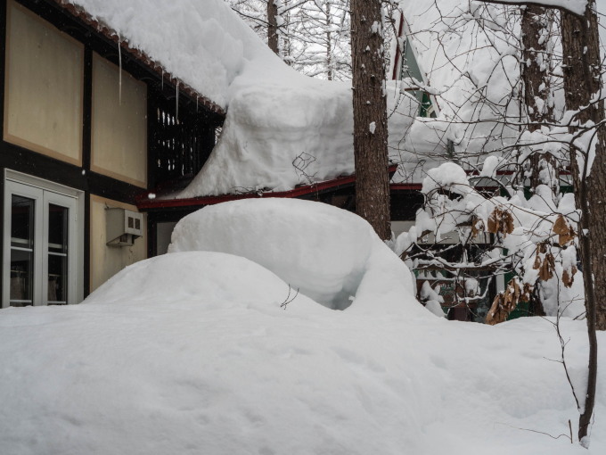 今年の2月は雪が多い?3日連続の大雪です。_f0276498_14030370.jpg