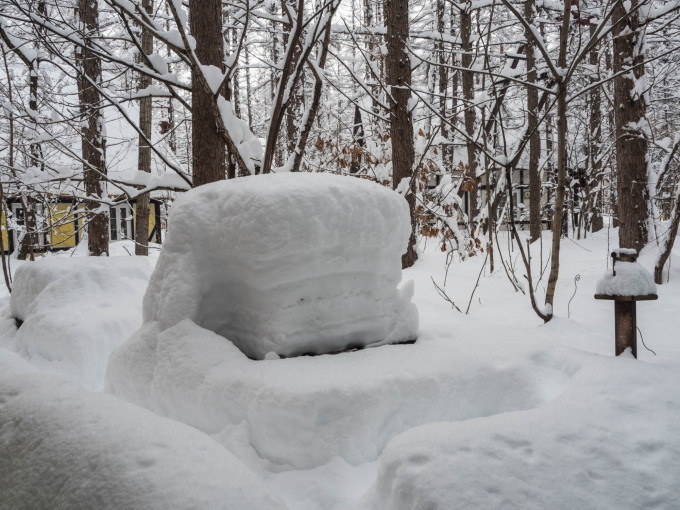 今年の2月は雪が多い?3日連続の大雪です。_f0276498_14043390.jpg