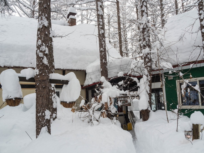 今年の2月は雪が多い?3日連続の大雪です。_f0276498_14075574.jpg