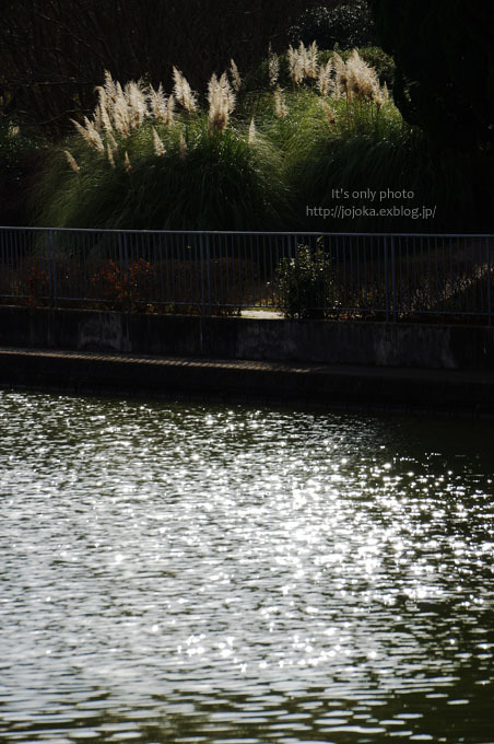 e0008800_18420898.jpg