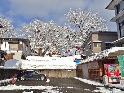 除雪は朝の日課となりました_c0336902_14592127.jpg