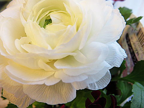 d0046702_07240693.jpg
