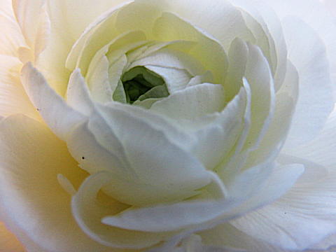 d0046702_07244019.jpg