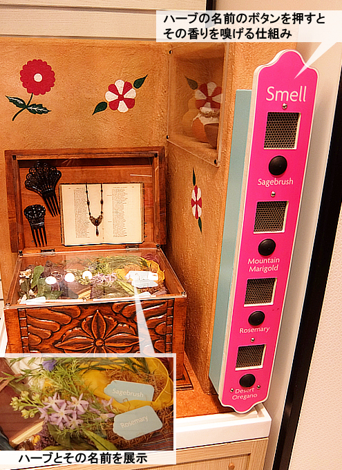 少女たちが胸を張って歩きたくなるAmerican Girl Placeの新店舗_b0007805_7475775.jpg