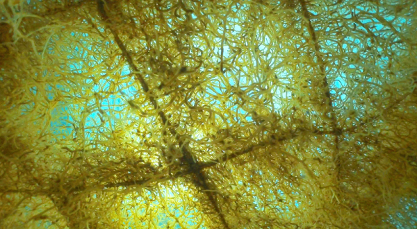 a0060407_21045608.jpg