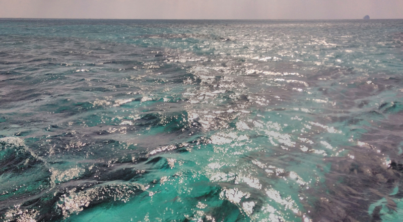 a0060407_21050195.jpg