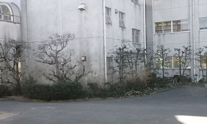 c0386412_15263742.jpg
