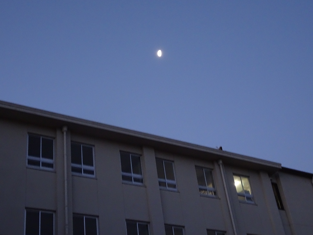 e0251420_18133993.jpg