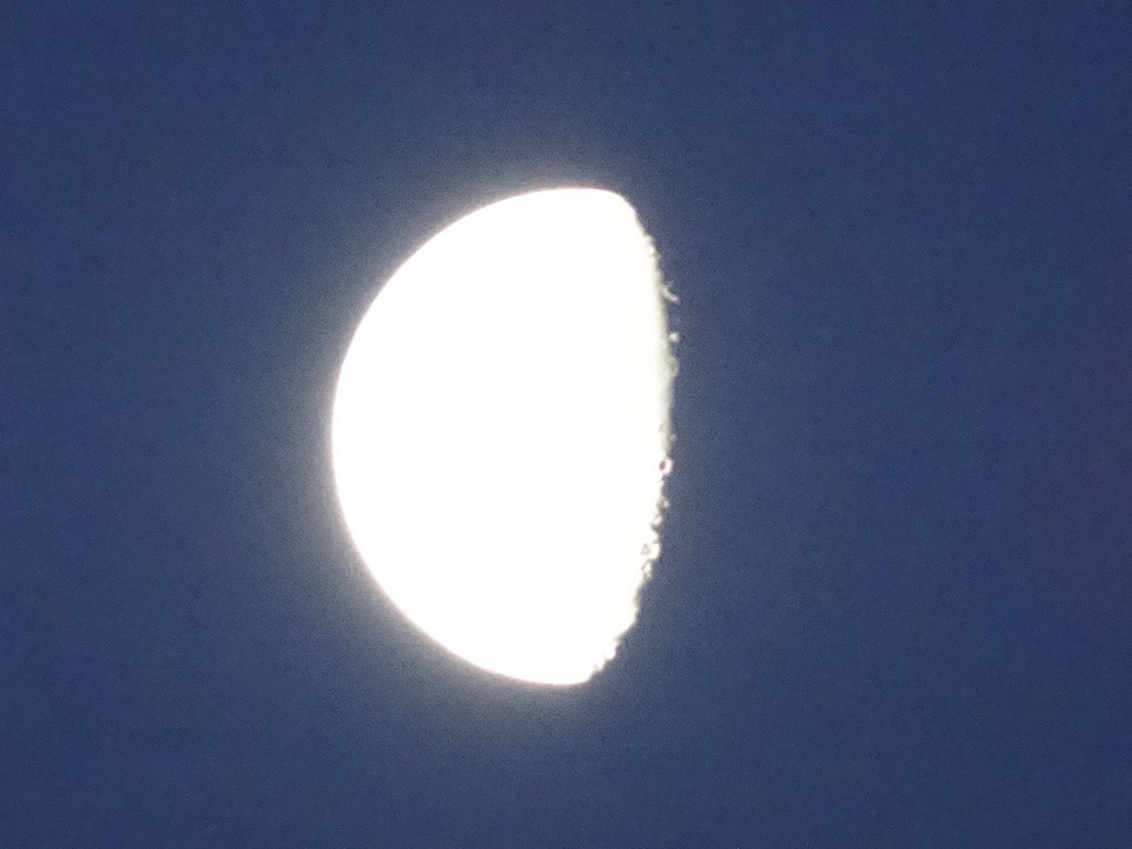e0251420_18134935.jpg