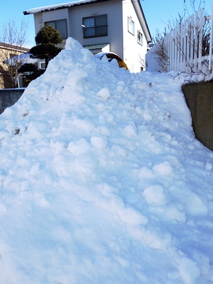 c0204725_11141657.jpg