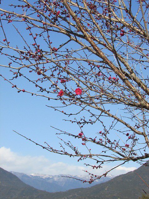 e0321325_14090984.jpg