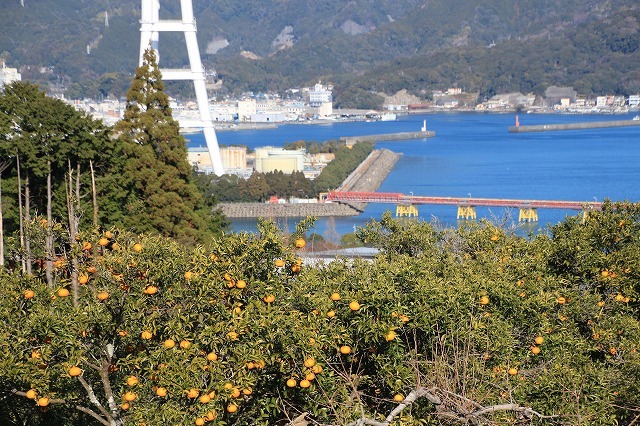 e0321325_14150666.jpg