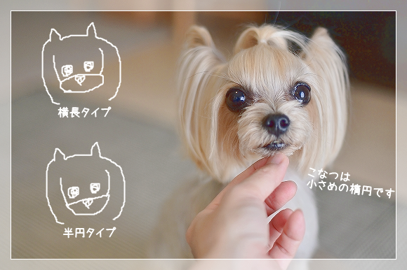 d0179828_10390005.png