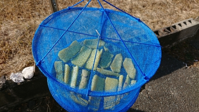 e0137130_22392381.jpg