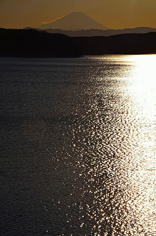 a0287533_21450783.jpg