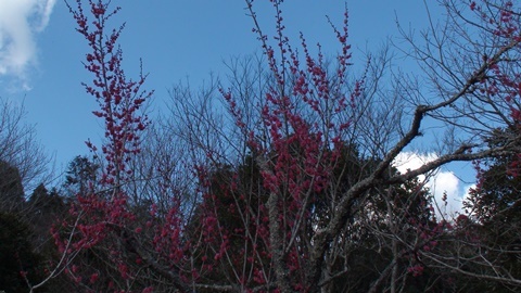 a0123836_16181171.jpg