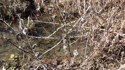 a0123836_16185478.jpg