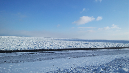 d0032736_11035842.png