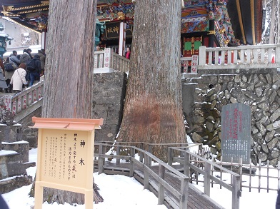 c0026843_20351818.jpg