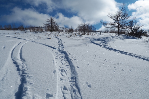 2018/2/4 根子岳_b0189948_23195899.jpg