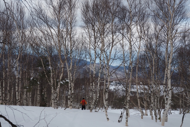 2018/2/4 根子岳_b0189948_23265712.jpg