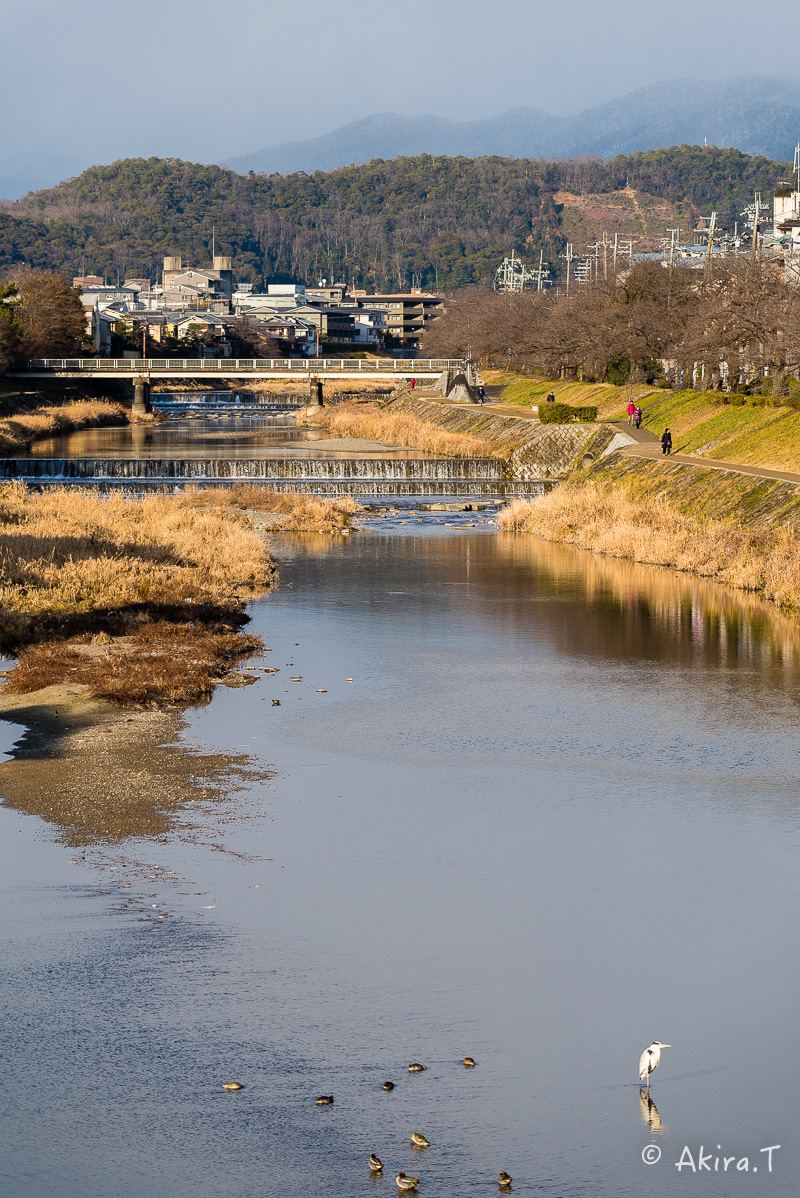 f0152550_20511214.jpg