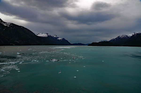 グレーシャーベイ国立公園の氷河を満喫しました。：ルビープリンセスアラスカクルーズ_f0054556_12304586.jpg