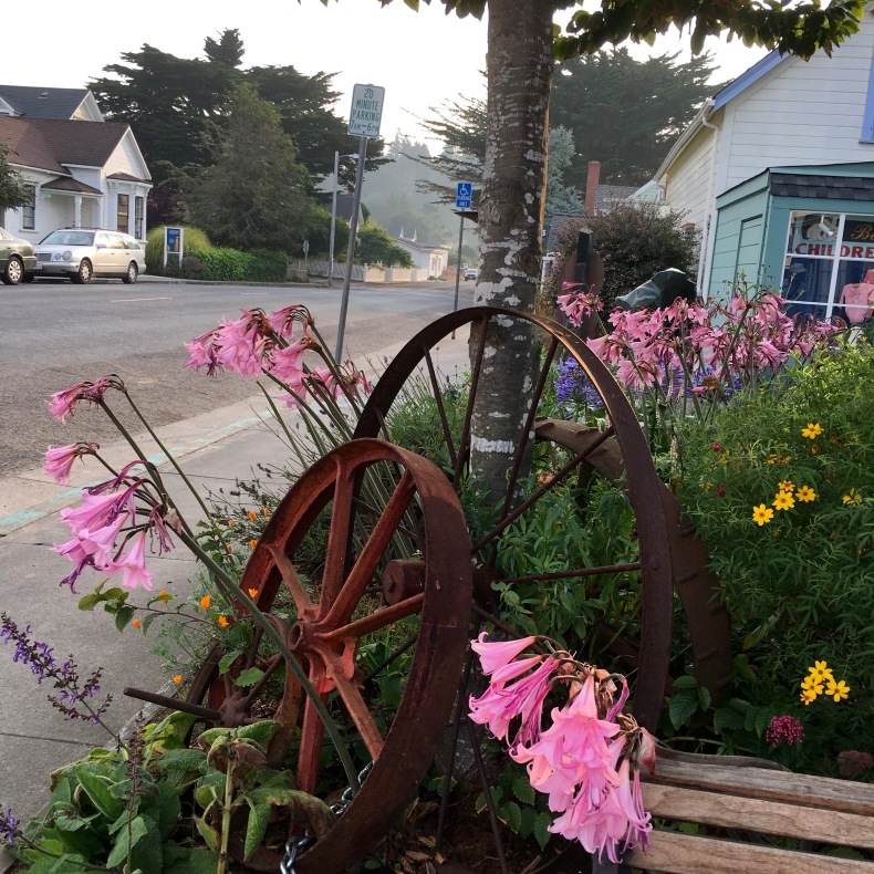 GOODLIFE CAFE & BAKERY   Mendocino_a0199262_10210823.jpg