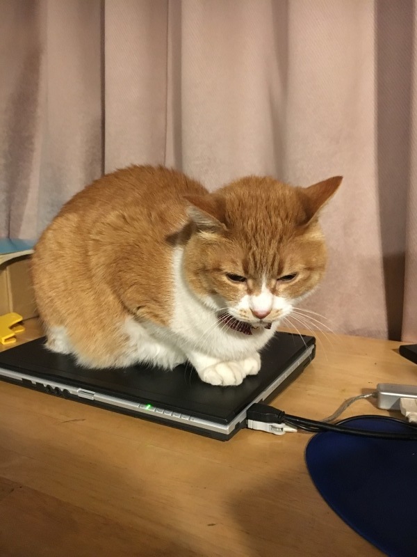 10年日記_f0363168_23411959.jpeg