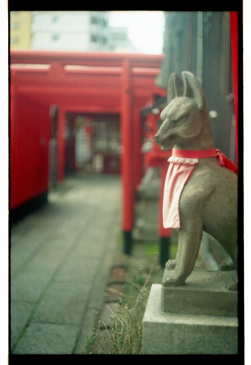 18-04. Leica 試写_b0065572_06281596.jpeg