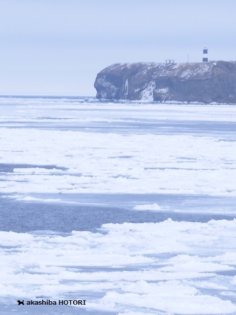 f0150377_09023942.jpg
