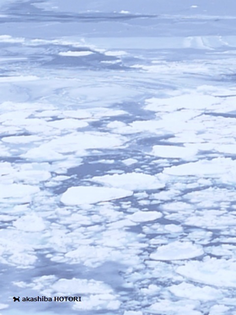 f0150377_09030979.jpg