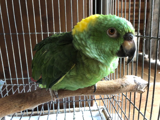 b0032380_15132155.jpg