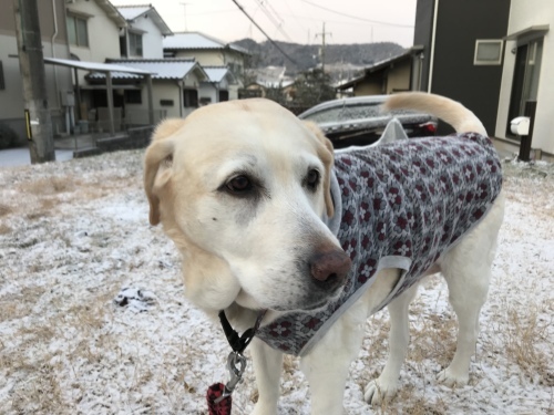 f0315081_22213930.jpeg