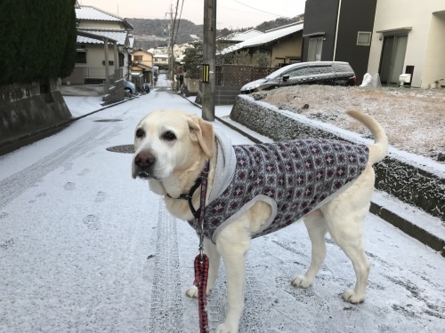 f0315081_22222492.jpeg