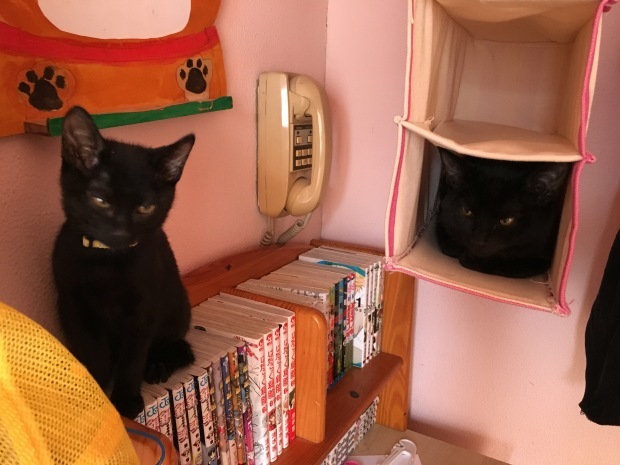 b0377882_23144591.jpeg