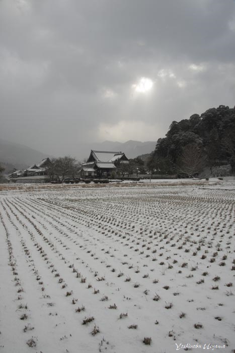 明日香雪景_e0092186_11541019.jpg