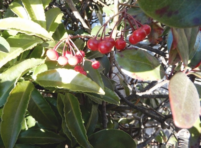 e0025300_2281119.jpg