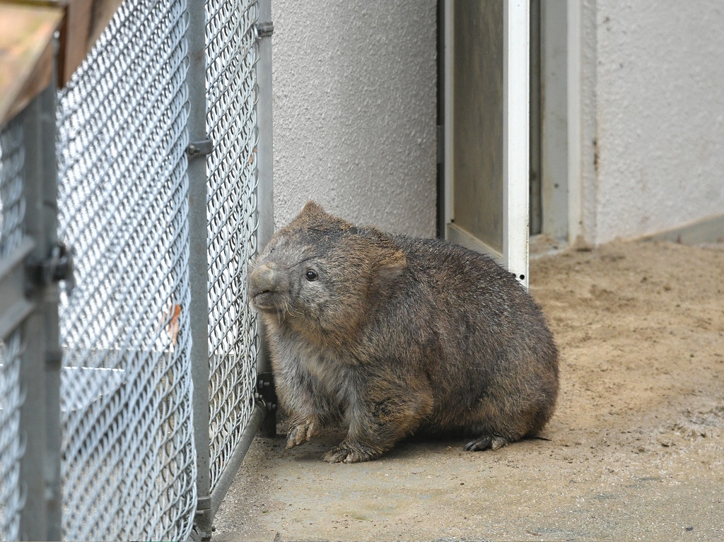 冬の雨と願い事_a0164204_17145487.jpg