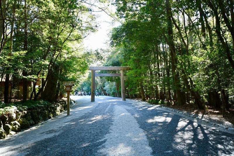 偏頭痛と大地の祈り_f0349904_14334283.jpg