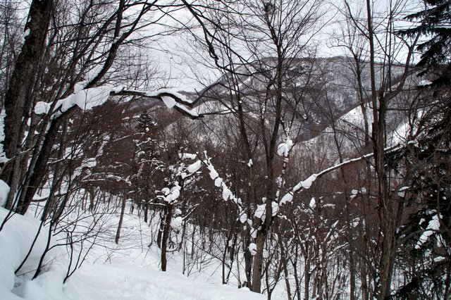 a0345007_1734057.jpg