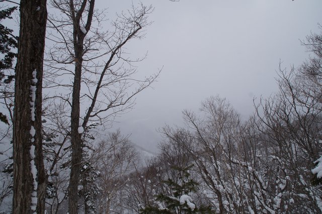 a0345007_1751240.jpg