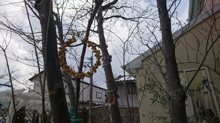 b0345108_17410892.jpg