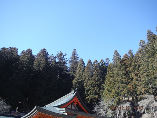 d0281110_11323969.jpg