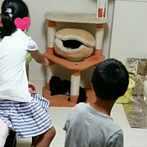 e0144012_00291171.jpeg