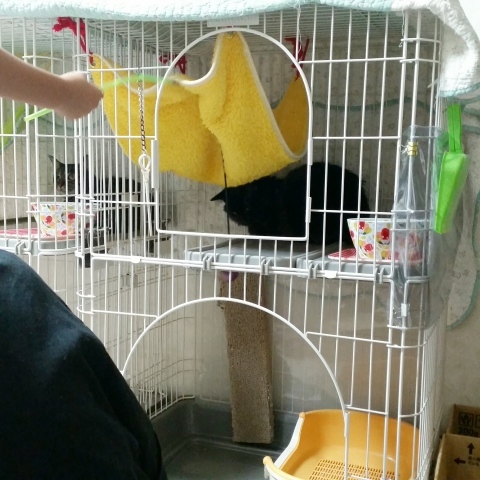 e0144012_00303246.jpeg
